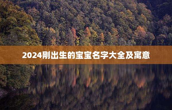 2024刚出生的宝宝名字大全及寓意