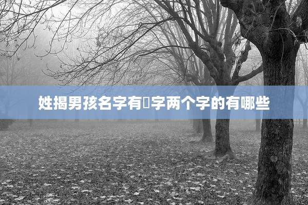 姓揭男孩名字有喆字两个字的有哪些