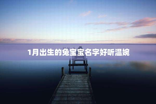 1月出生的兔宝宝名字好听温婉
