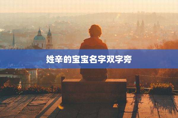 姓辛的宝宝名字双字旁