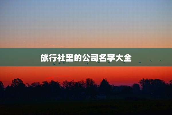 旅行社里的公司名字大全