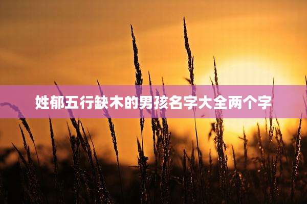 姓郁五行缺木的男孩名字大全两个字