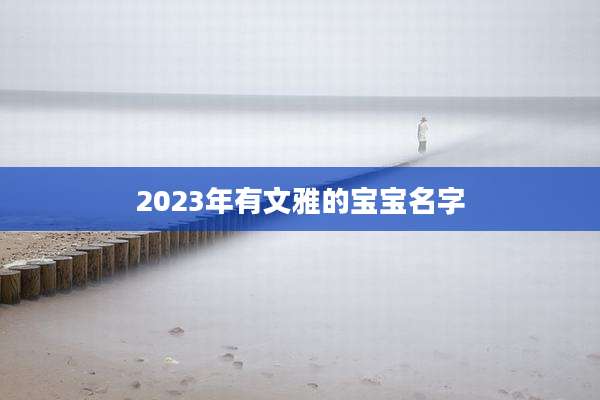 2023年有文雅的宝宝名字