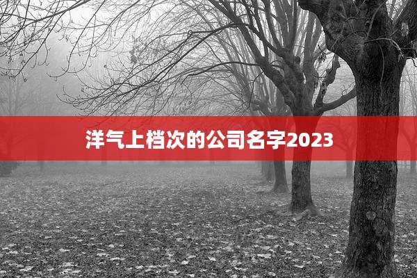 洋气上档次的公司名字2023