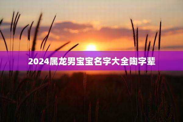 2024属龙男宝宝名字大全陶字辈