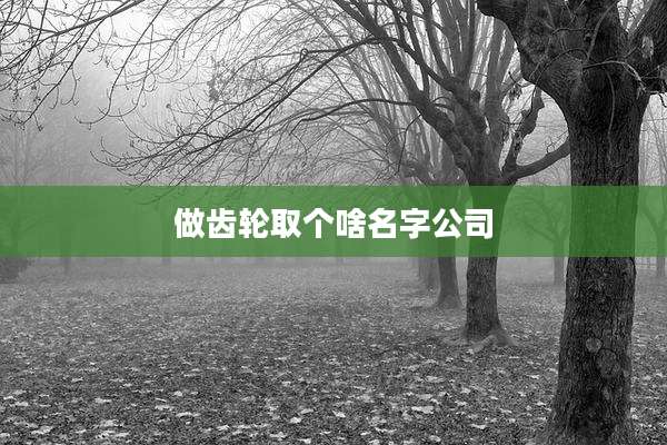做齿轮取个啥名字公司