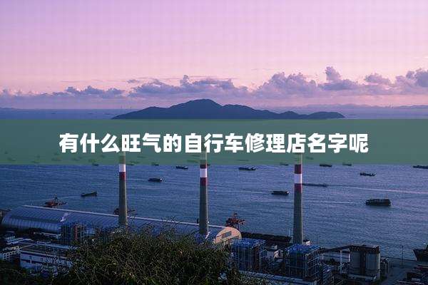 有什么旺气的自行车修理店名字呢
