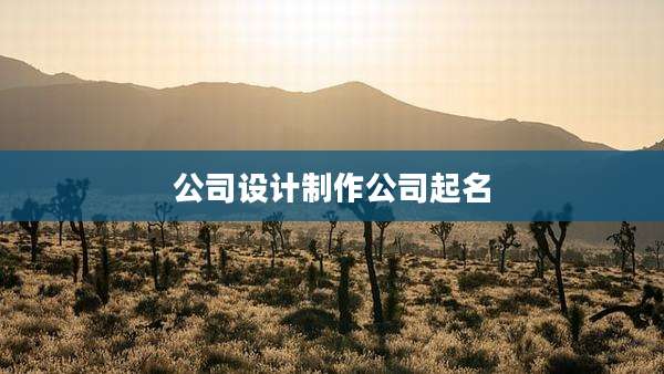 公司设计制作公司起名