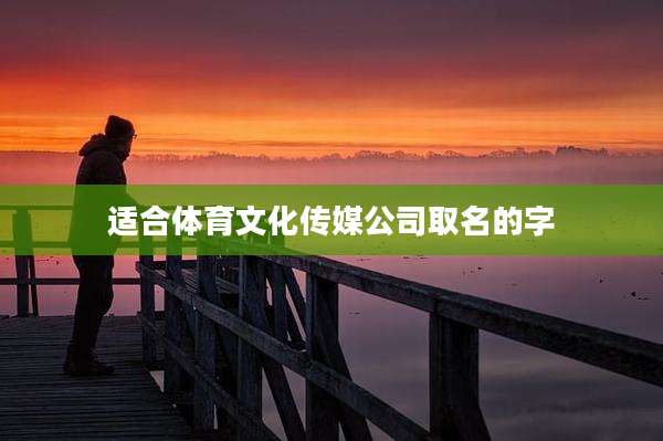适合体育文化传媒公司取名的字