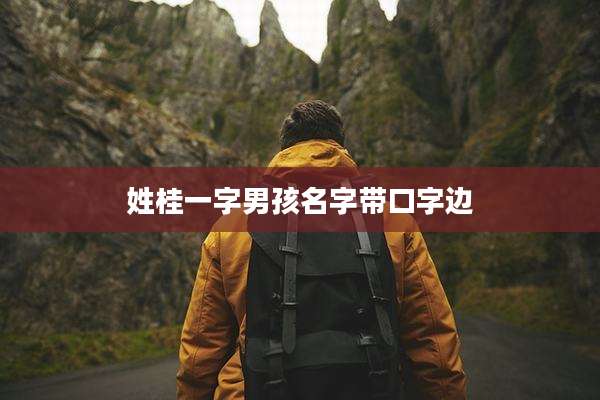 姓桂一字男孩名字带口字边
