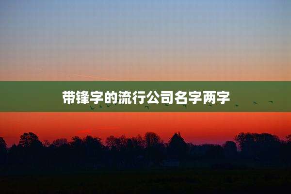 带锋字的流行公司名字两字