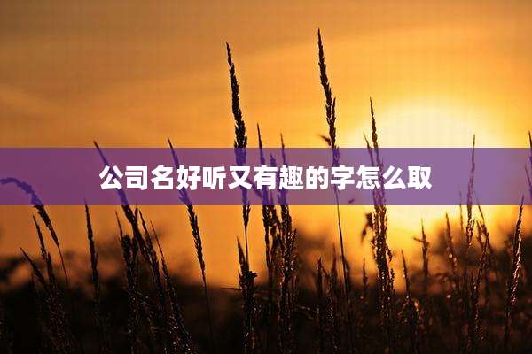 公司名好听又有趣的字怎么取