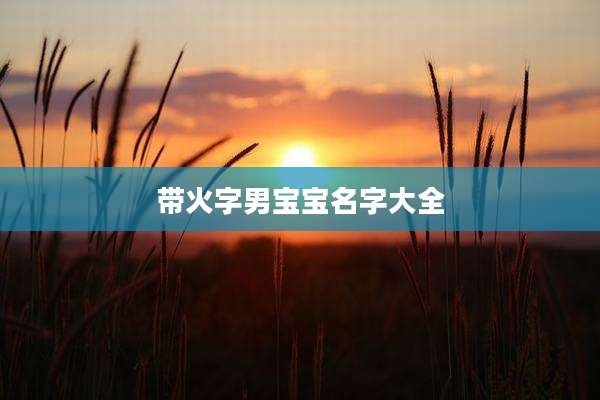 带火字男宝宝名字大全