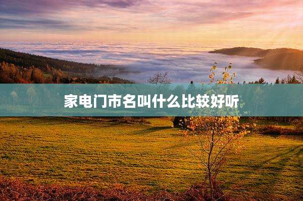 家电门市名叫什么比较好听