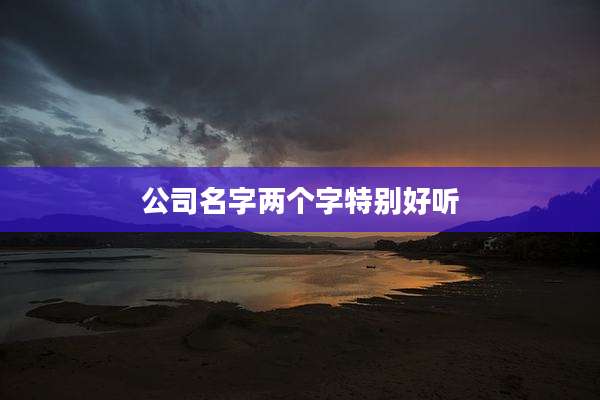 公司名字两个字特别好听