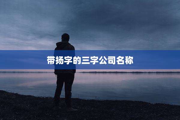 带扬字的三字公司名称