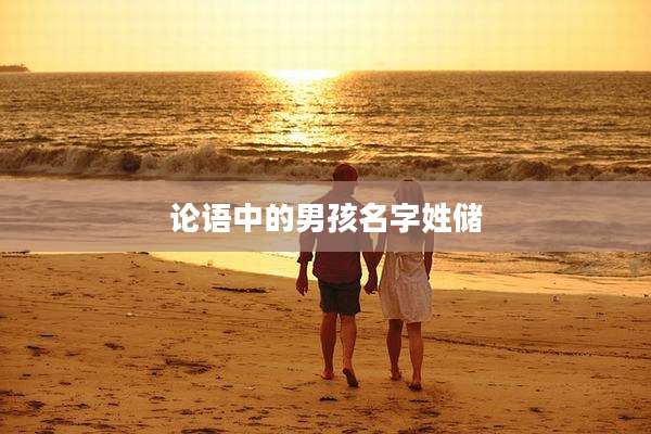 论语中的男孩名字姓储