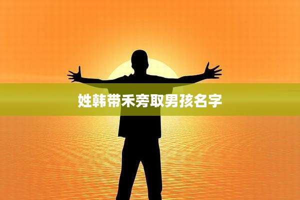 姓韩带禾旁取男孩名字