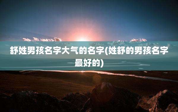 舒姓男孩名字大气的名字(姓舒的男孩名字最好的)