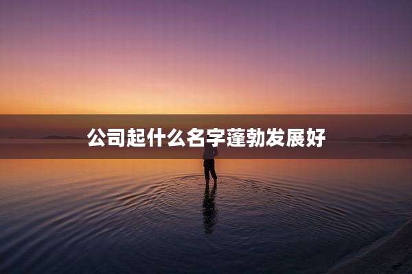 公司起什么名字蓬勃发展好