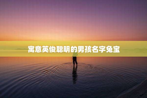 寓意英俊聪明的男孩名字兔宝