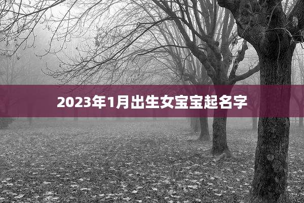 2023年1月出生女宝宝起名字