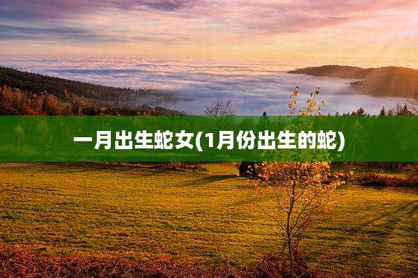 一月出生蛇女(1月份出生的蛇)