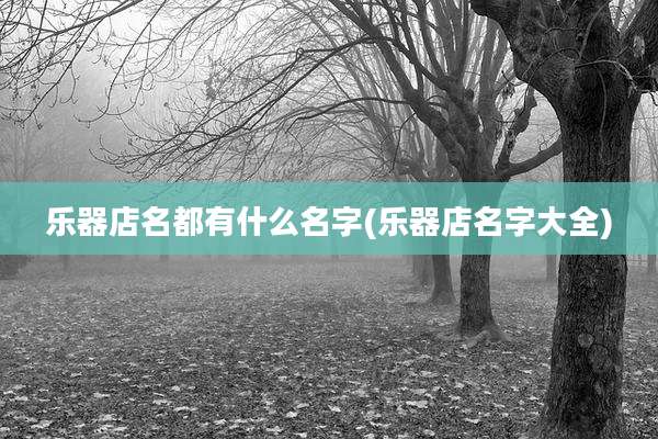 乐器店名都有什么名字(乐器店名字大全)