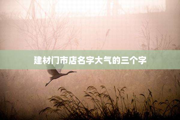 建材门市店名字大气的三个字