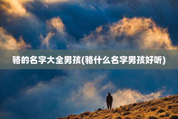 骆的名字大全男孩(骆什么名字男孩好听)