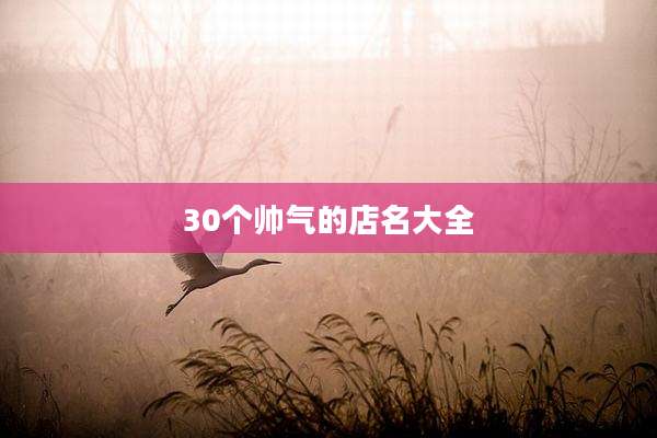 30个帅气的店名大全