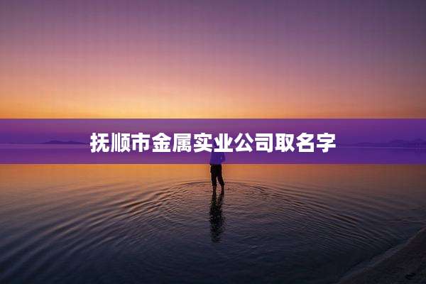 抚顺市金属实业公司取名字