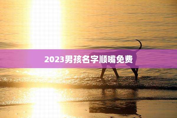 2023男孩名字顺嘴免费