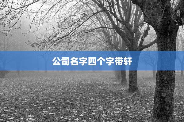 公司名字四个字带轩