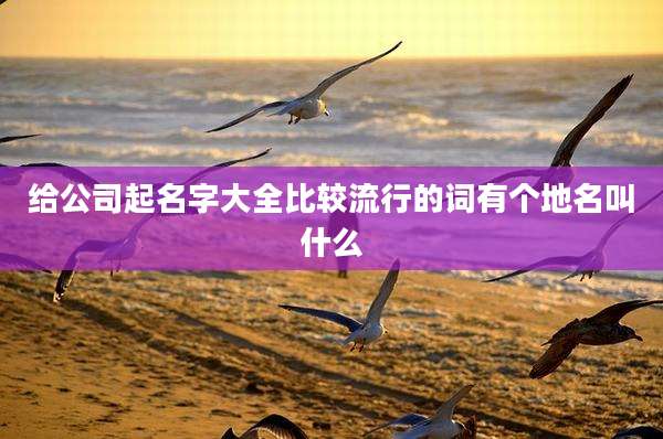 给公司起名字大全比较流行的词有个地名叫什么