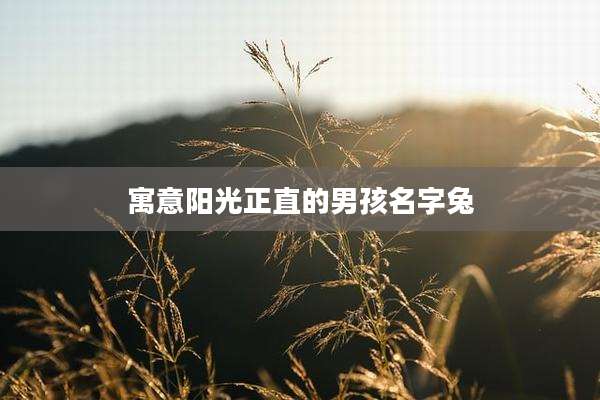 寓意阳光正直的男孩名字兔