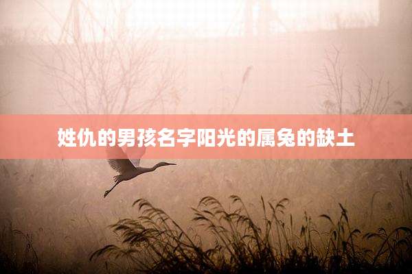 姓仇的男孩名字阳光的属兔的缺土