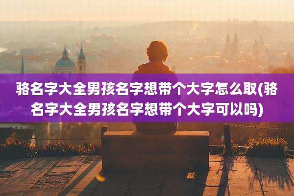 骆名字大全男孩名字想带个大字怎么取(骆名字大全男孩名字想带个大字可以吗)