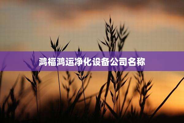 鸿福鸿运净化设备公司名称