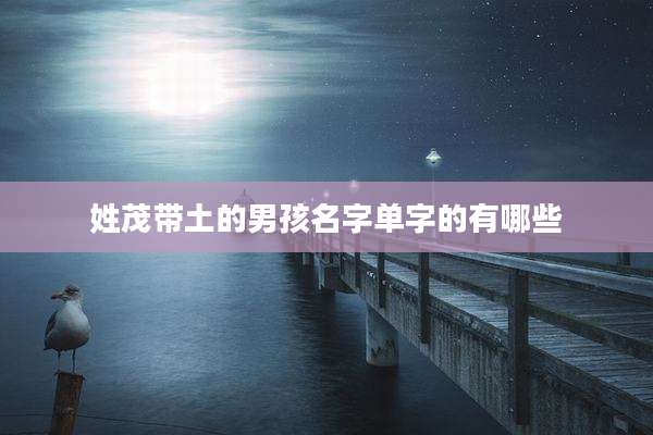 姓茂带土的男孩名字单字的有哪些