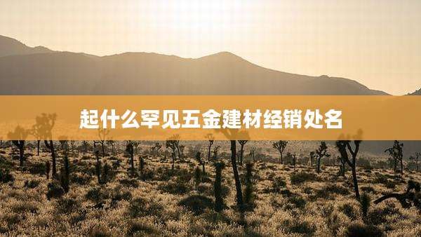 起什么罕见五金建材经销处名