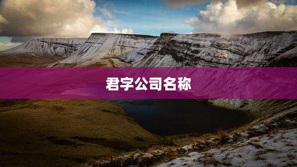 君字公司名称