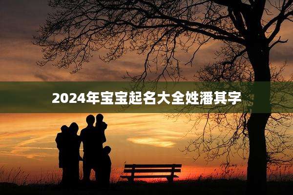 2024年宝宝起名大全姓潘其字