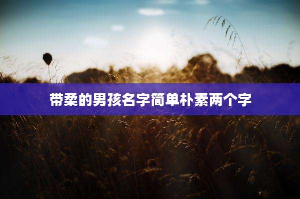 带柔的男孩名字简单朴素两个字