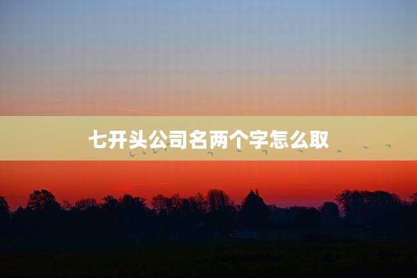 七开头公司名两个字怎么取