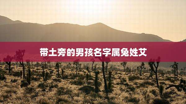 带土旁的男孩名字属兔姓艾