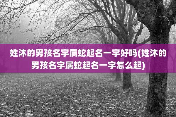 姓沐的男孩名字属蛇起名一字好吗(姓沐的男孩名字属蛇起名一字怎么起)