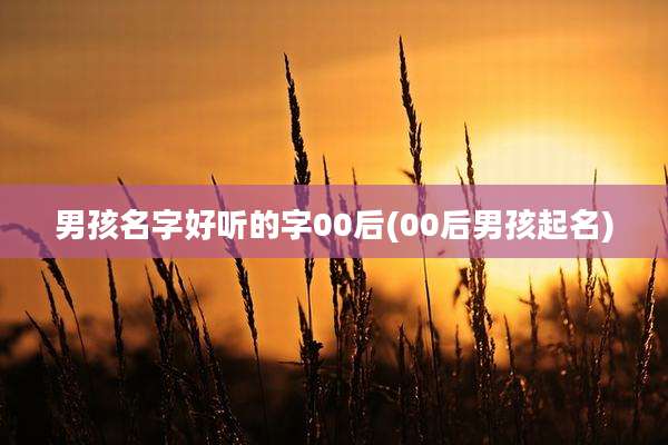 男孩名字好听的字00后(00后男孩起名)