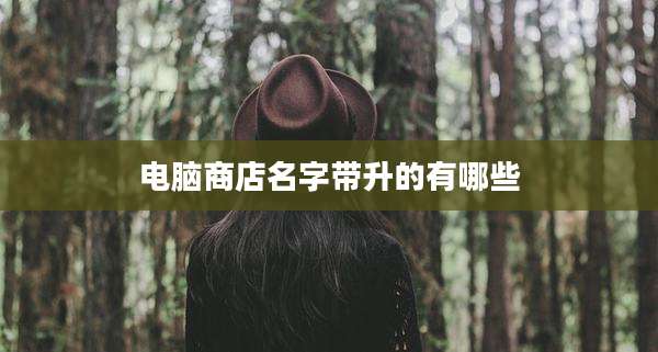 电脑商店名字带升的有哪些