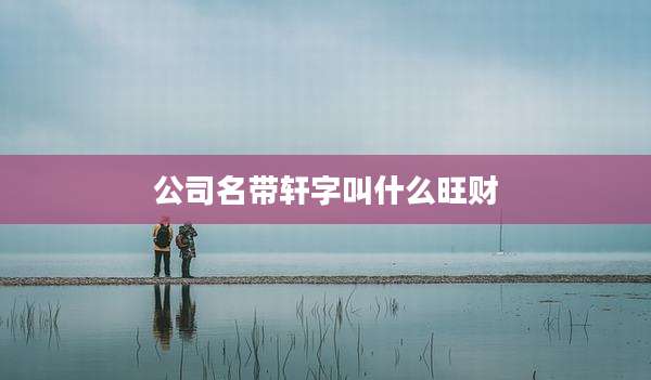 公司名带轩字叫什么旺财